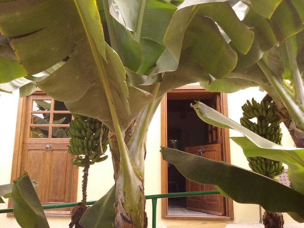 הרמיגואה Casa Rural Llano Campo מראה חיצוני תמונה