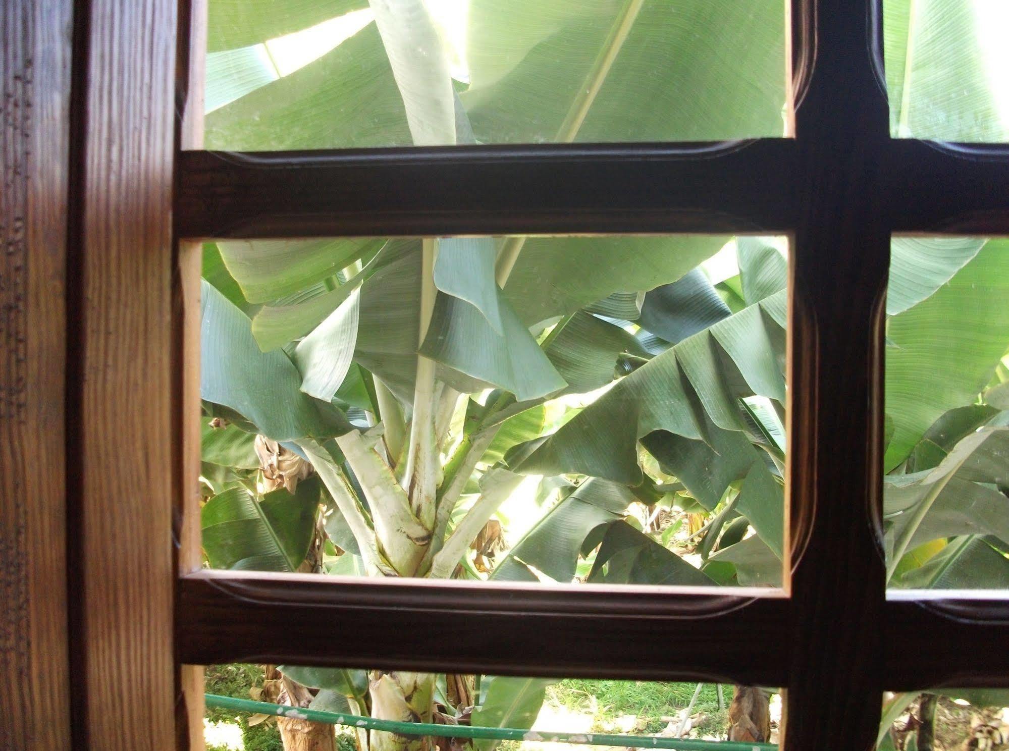 הרמיגואה Casa Rural Llano Campo מראה חיצוני תמונה